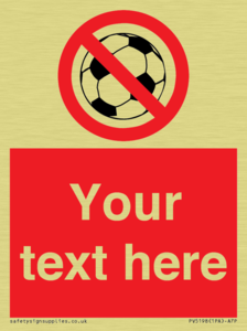 Custom No Ball Games Sign